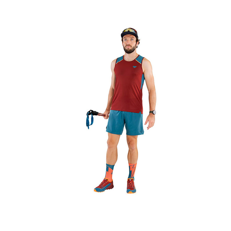 Kelnės Dynafit Alpine Pro 2/1 Short