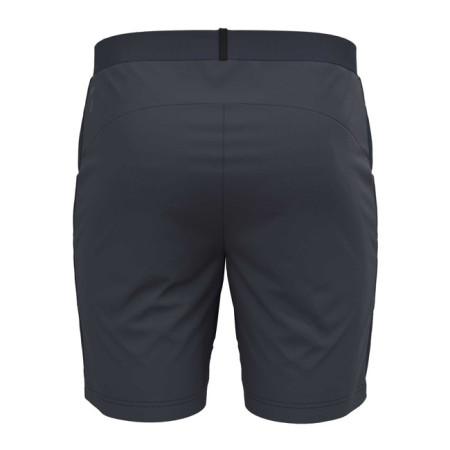 Pants Odlo ZEROWEIGHT INSULATOR India Ink 2