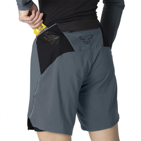 Bukser Dynafit ALPINE PRO 2/1 SHORTS M Cinder/0910 2