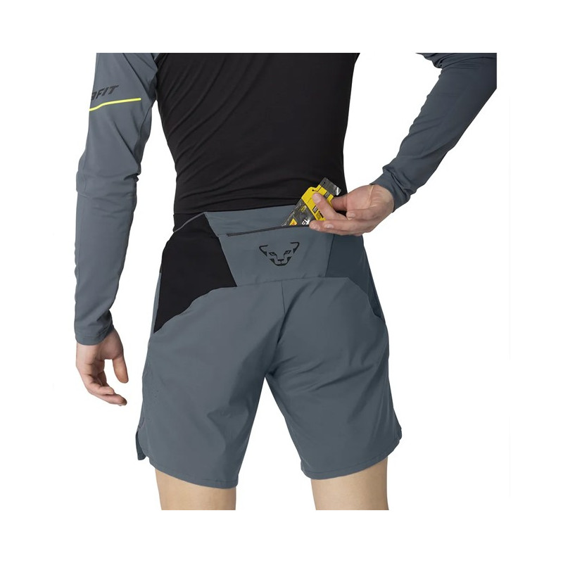 Pants Dynafit ALPINE PRO 2/1 SHORTS M Cinder/0910