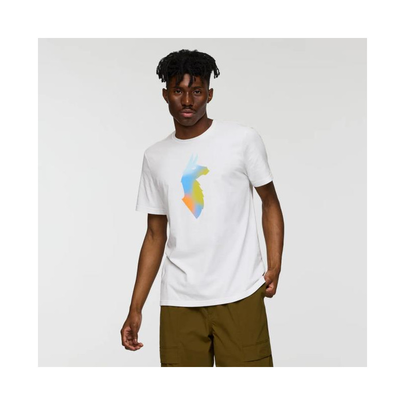 Camiseta Cotopaxi Bitmap Llama T-Shirt