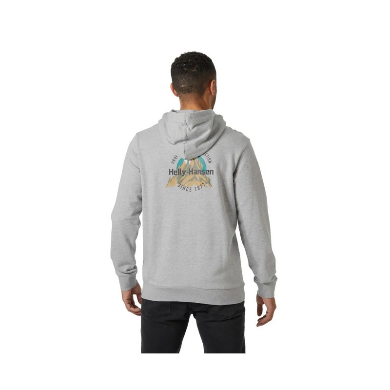 Megztinis Helly Hansen CORE GRAPHIC Grey Melange