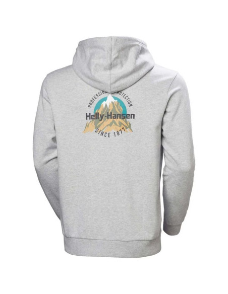 Megztinis Helly Hansen CORE GRAPHIC Grey Melange