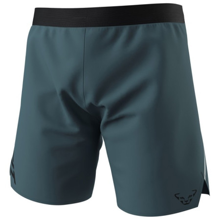 Bukser Dynafit ALPINE M Cinder/0910