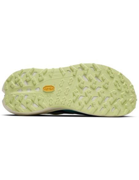 Brooks Cascadia Elite Star