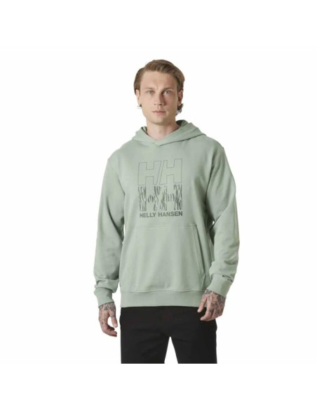 Bluza Helly Hansen CORE GRAPHIC Eucalyptus