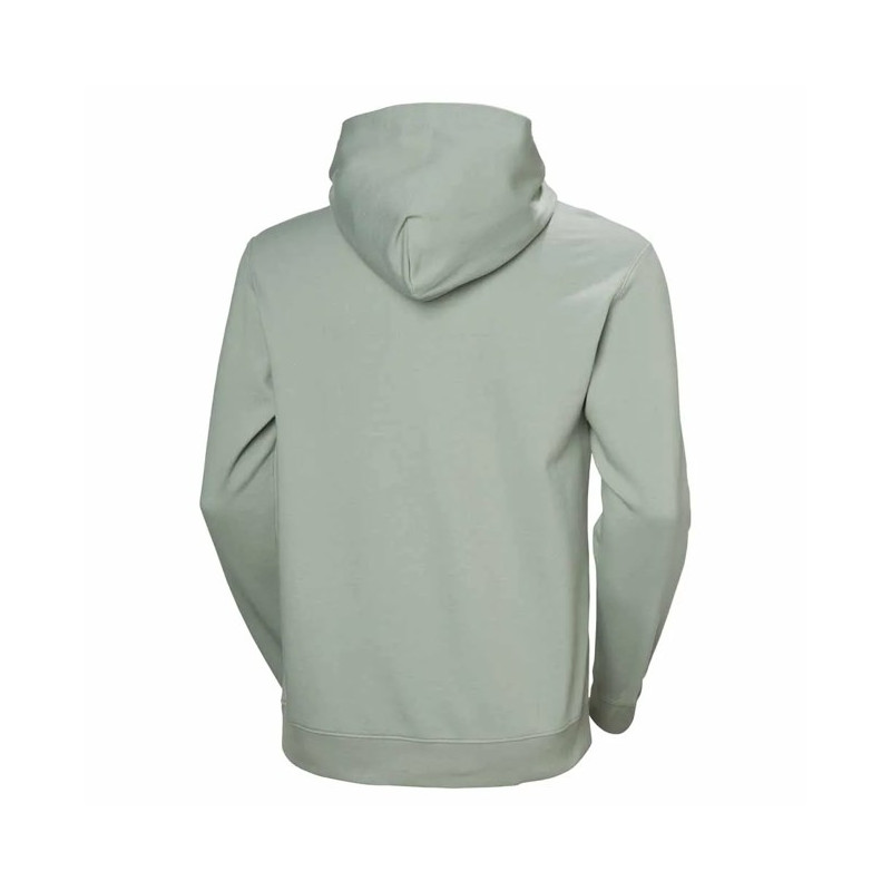 Sweatshirt Helly Hansen CORE GRAPHIC Eucalyptus