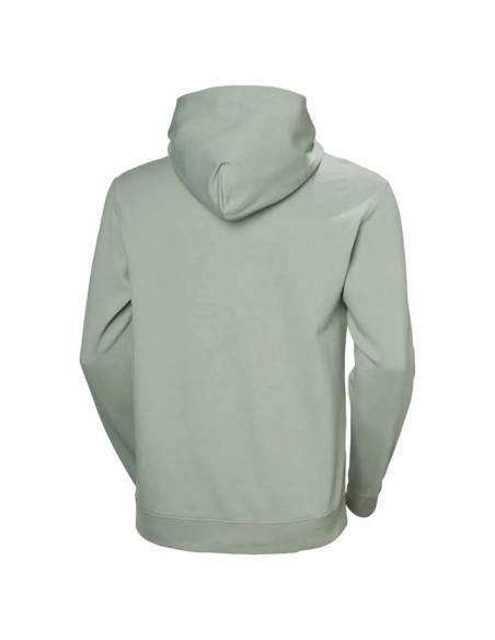 Sweatshirt Helly Hansen CORE GRAPHIC Eucalyptus