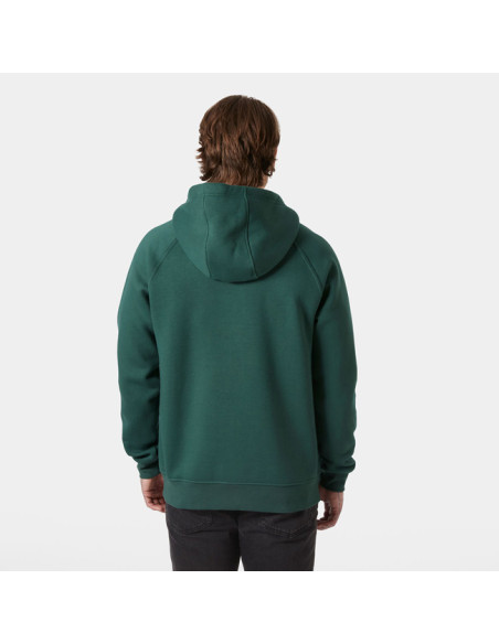 Camisola com capuz Helly Hansen ELEVATE HOODIE Green