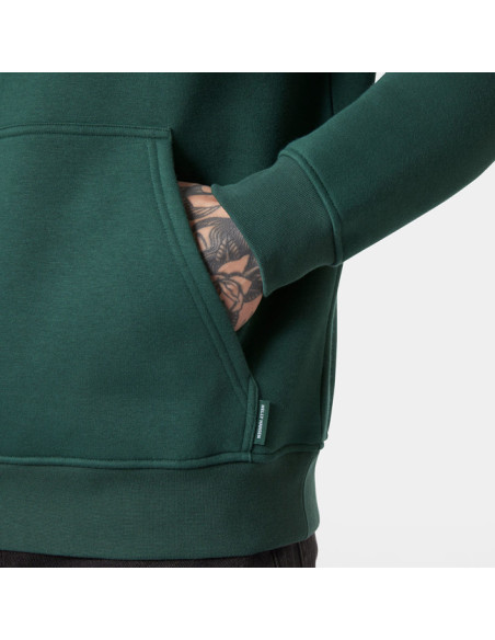 Pulóver Helly Hansen ELEVATE HOODIE Green