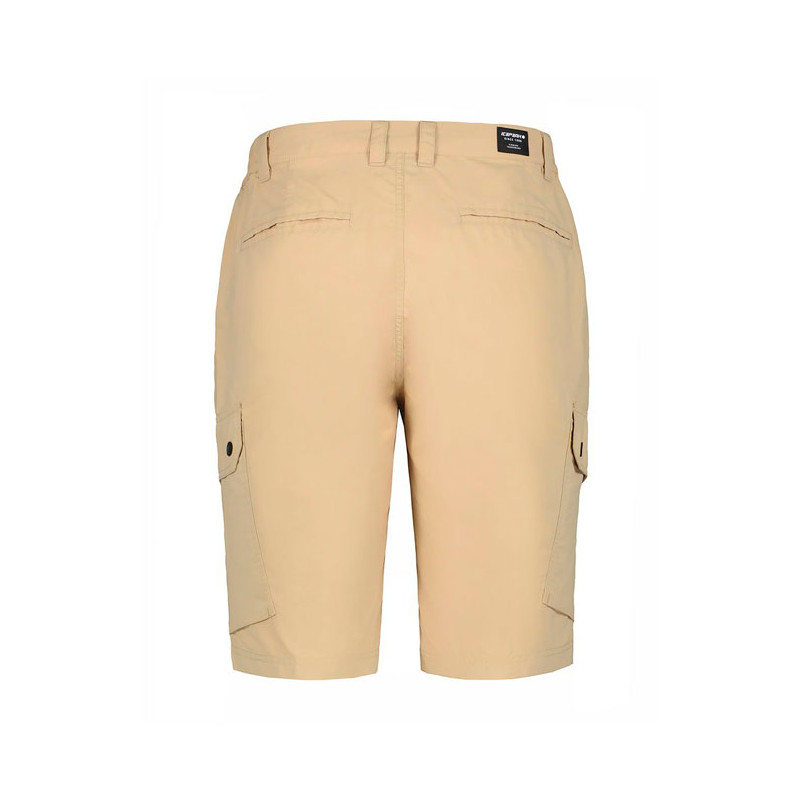 Icepeak ANZIO POWDER