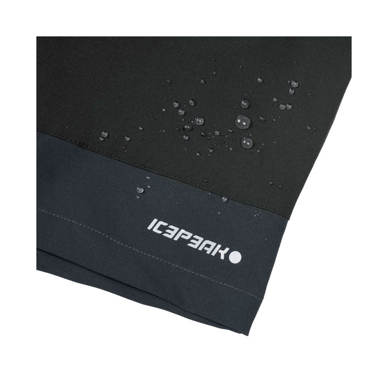 Pantalón Icepeak Batavia Short