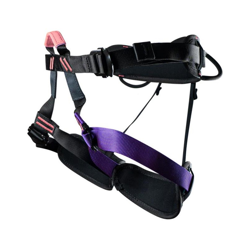 Arnés Beal Aeroteam IV