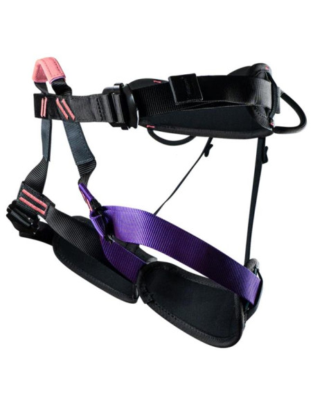 Arnés Beal Aeroteam IV