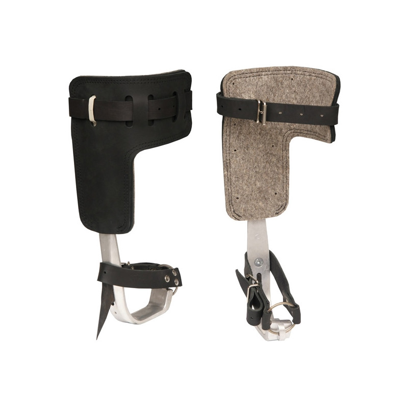 Irudek Trepador forestal