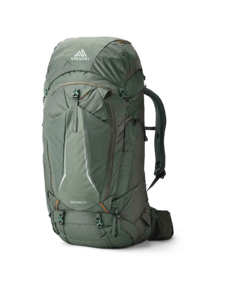 Kuprinė Gregory BALTORO 65 RC L Terrain Green
