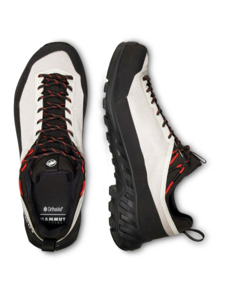 Mammut Alnasca IV Low GTX W