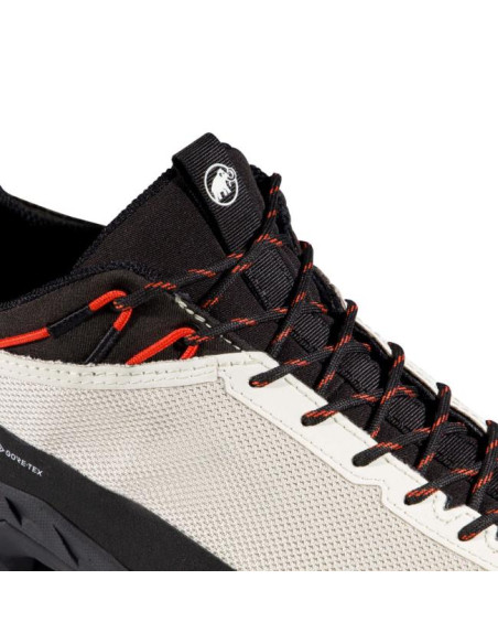 Mammut Alnasca IV Low GTX W