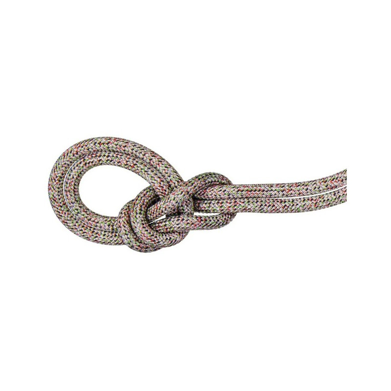 Corde Mammut 9.5 CRAG WE CARE CLASSIC 50M Assorted