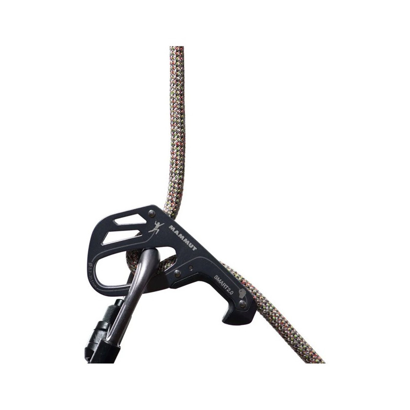 Rope Mammut 9.5 CRAG WE CARE CLASSIC 50M Assorted