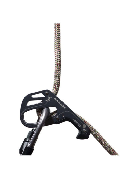 Rep Mammut 9.5 CRAG WE CARE CLASSIC 50M Assorted