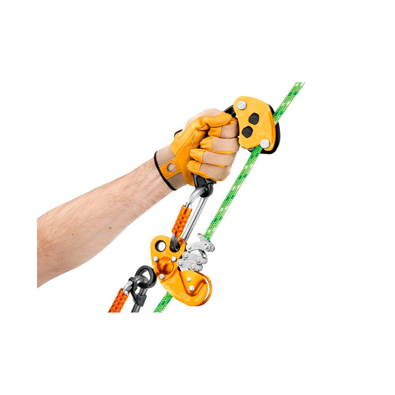 Petzl Chicane Descensor