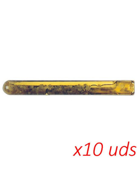 Petzl Ampoule Collinox (10 uds)