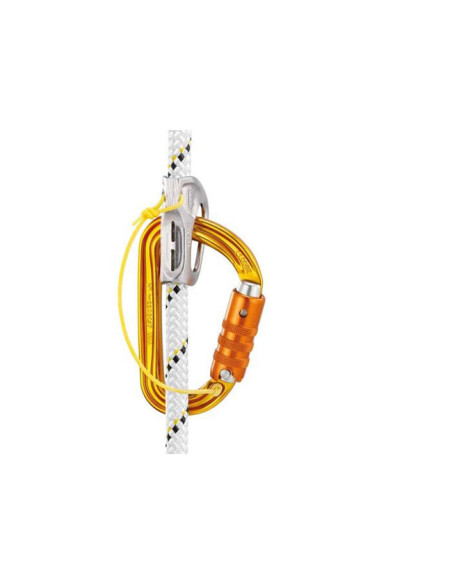 Petzl SMD Screwlock