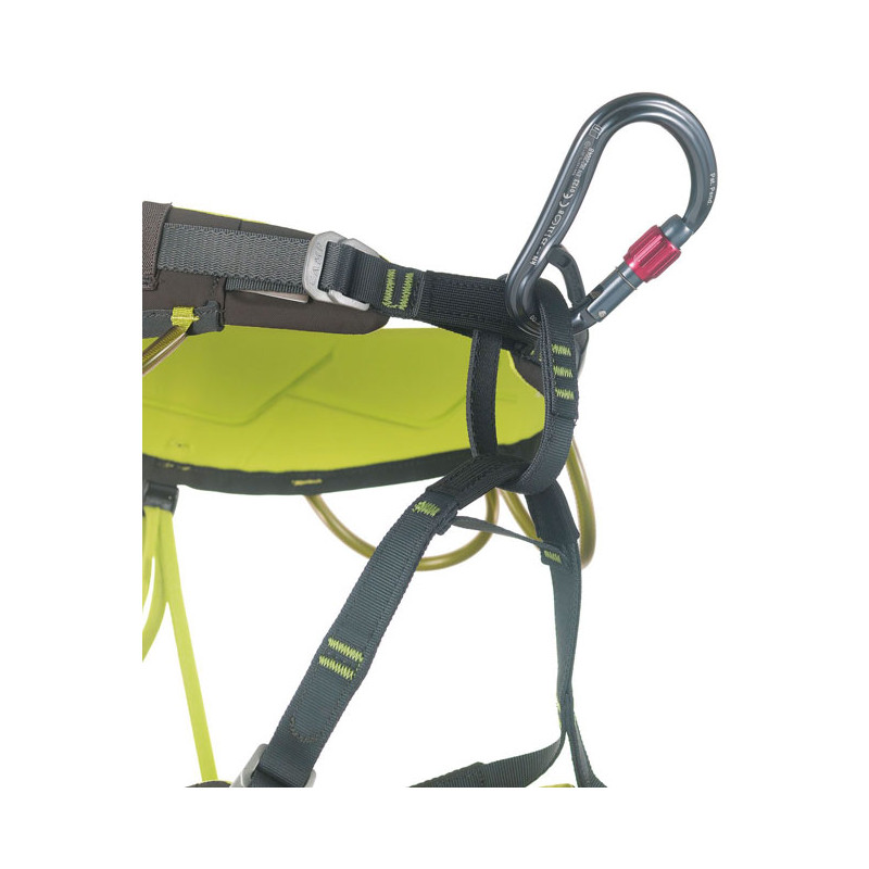 Camp Atom Belay Lock