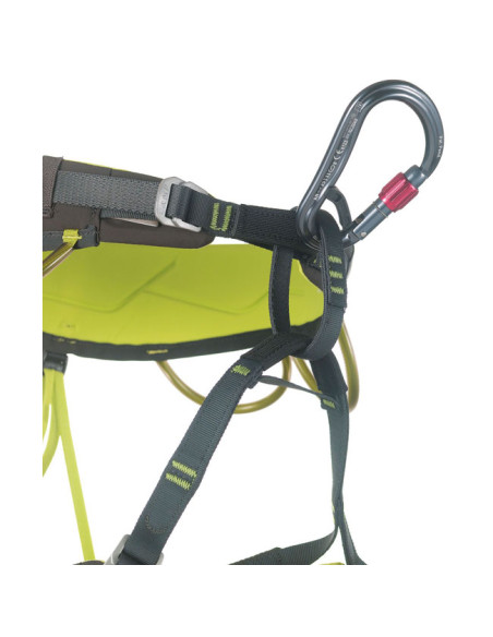 Camp Atom Belay Lock