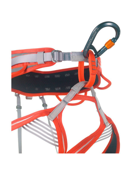 Camp Core Belay Lock