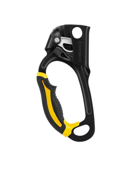 Petzl Ascension Links New