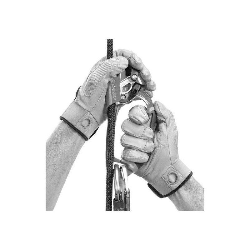 Petzl Ascension Links New