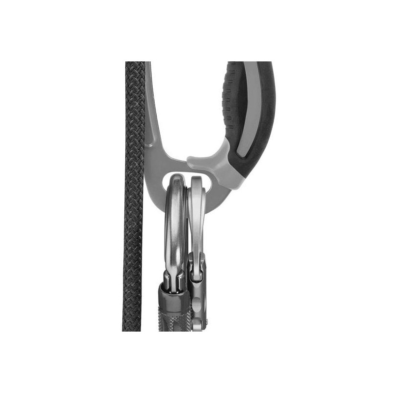 Petzl Ascension Links New