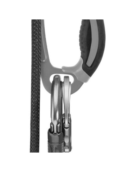 Petzl Ascension Links New