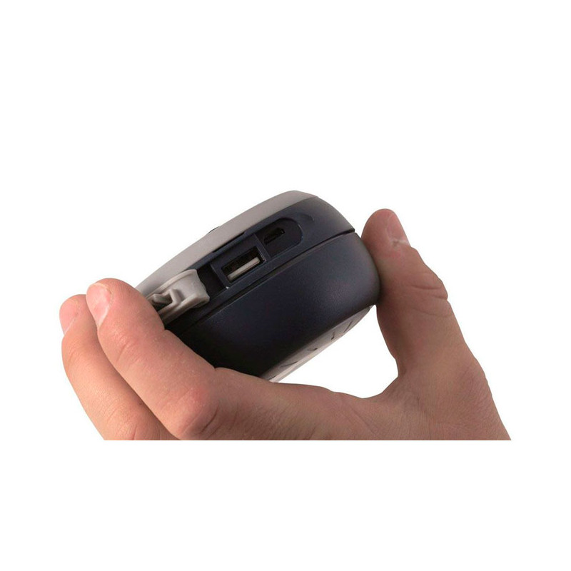 Farol Outwell Pegasus