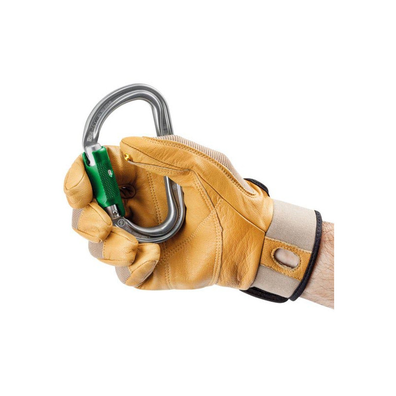 Petzl Am'D Pin-Lock
