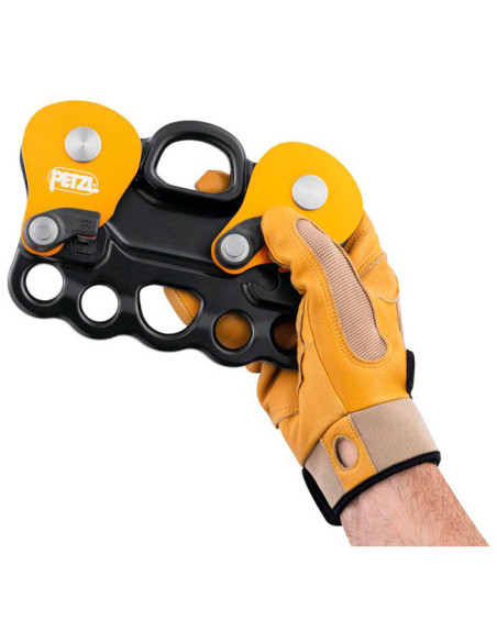 Petzl Reeve