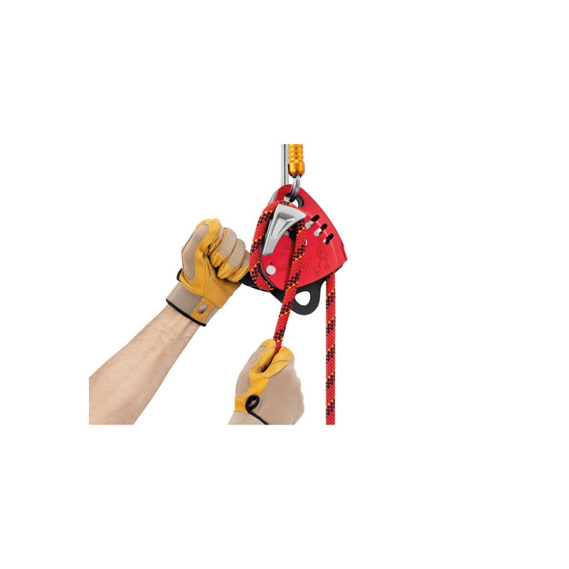 Petzl Maestro L