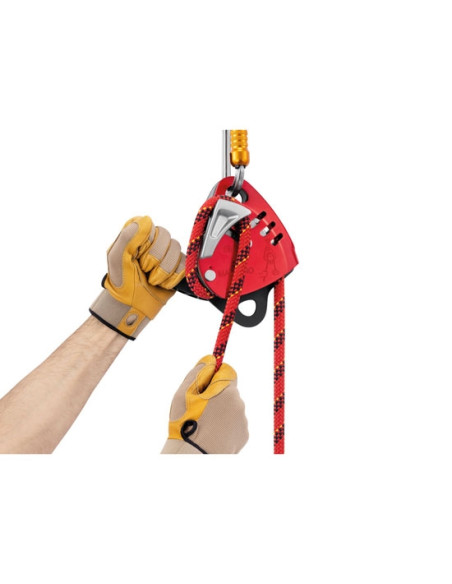 Petzl Maestro L