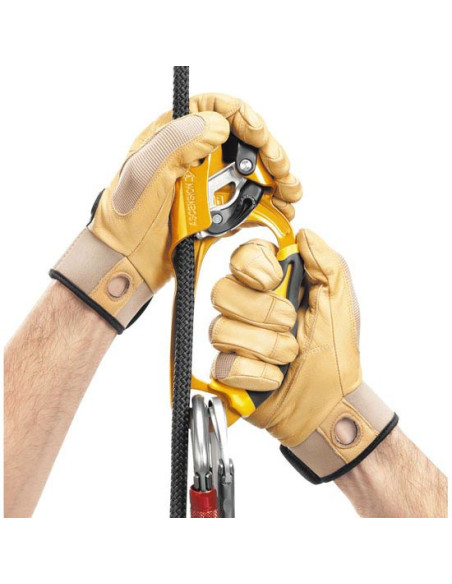 Petzl Ascension Droite New