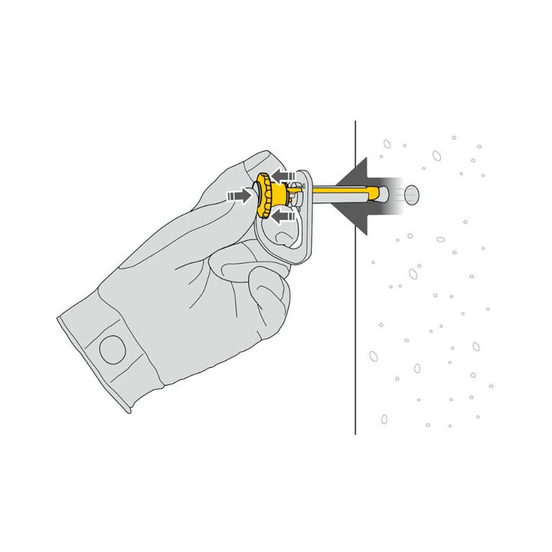 Petzl Coeur Pulse 12 mm