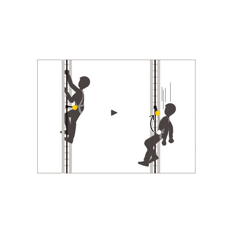 Pakinktai Petzl Volt