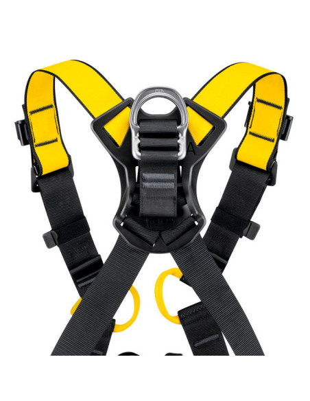 Pakinktai Petzl Newton Version Int
