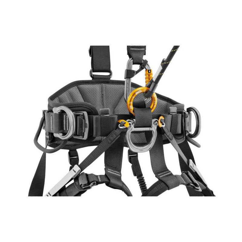 Arnés Petzl Avao International Version