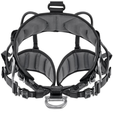 Arnés Petzl Avao Fast European Version Black 2