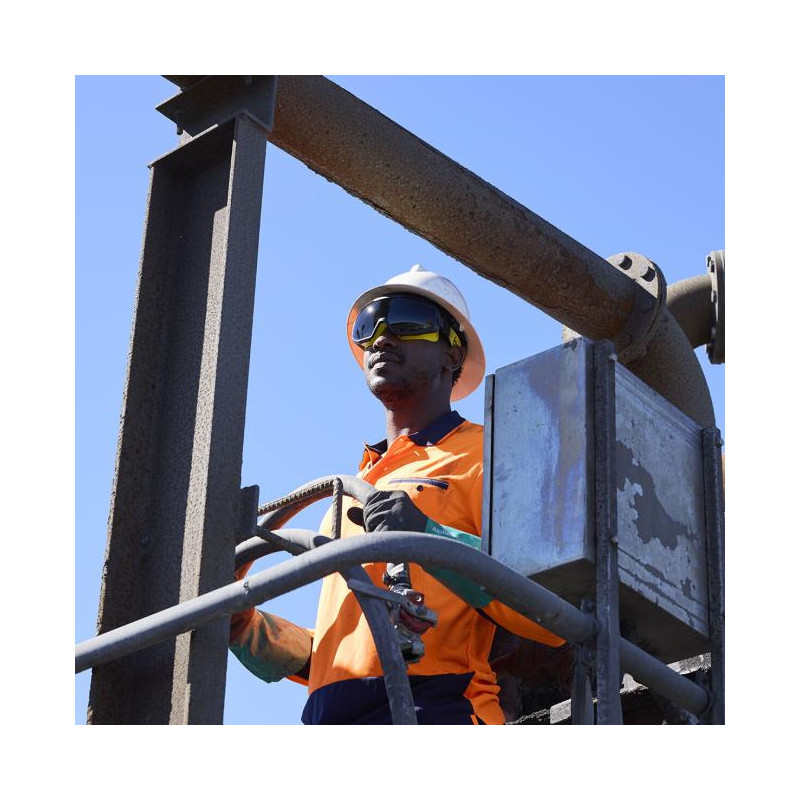 Bolle Safety Universal Goggle