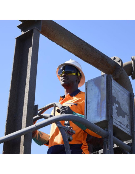 Bolle Safety Universal Goggle