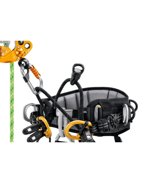 Pakinktai Petzl Sequoia SRT