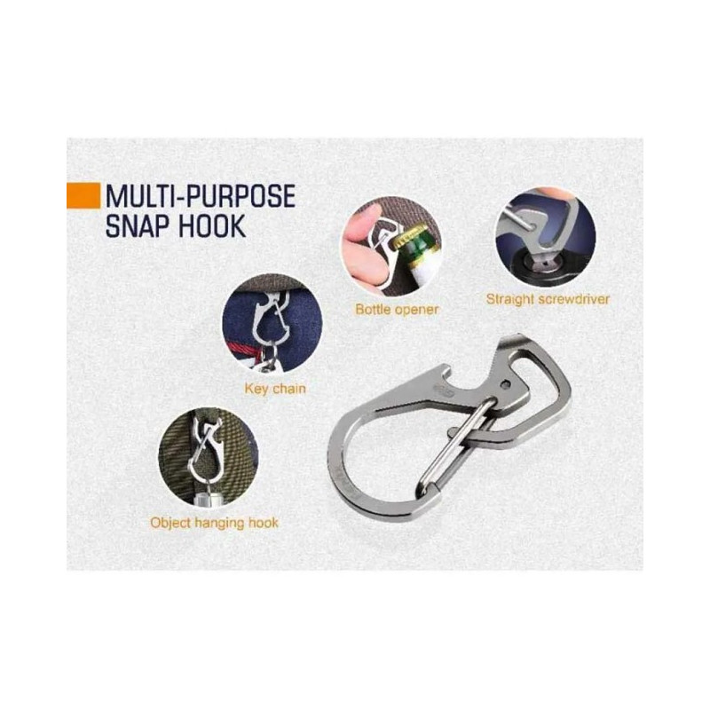 Carabiner Fenix ALB-20 Gris